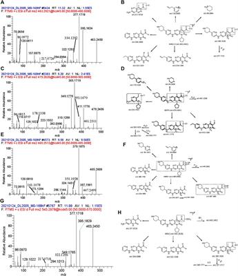 A mass balance study of [14C]SHR6390 (dalpiciclib), a selective and potent CDK4/6 inhibitor in humans